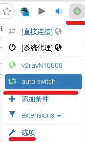 扩展图标-auto-选项
